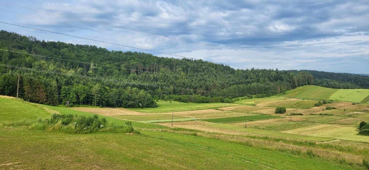 Bieszczadzki Horyzont Holiday home *