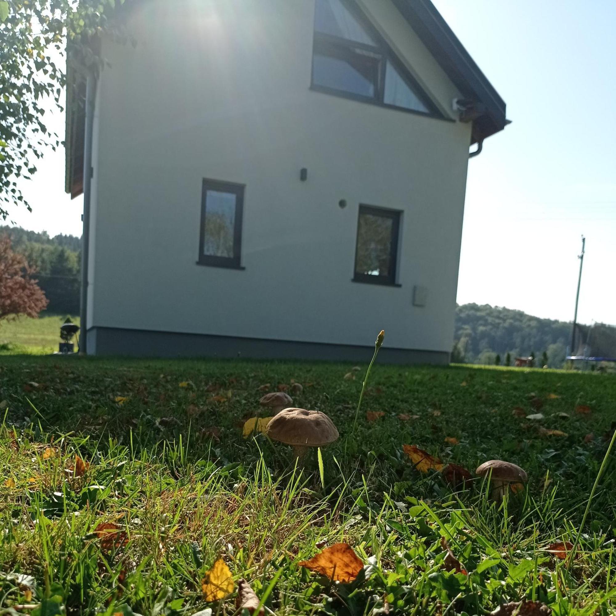 Bieszczadzki Horyzont Holiday home Berezka
